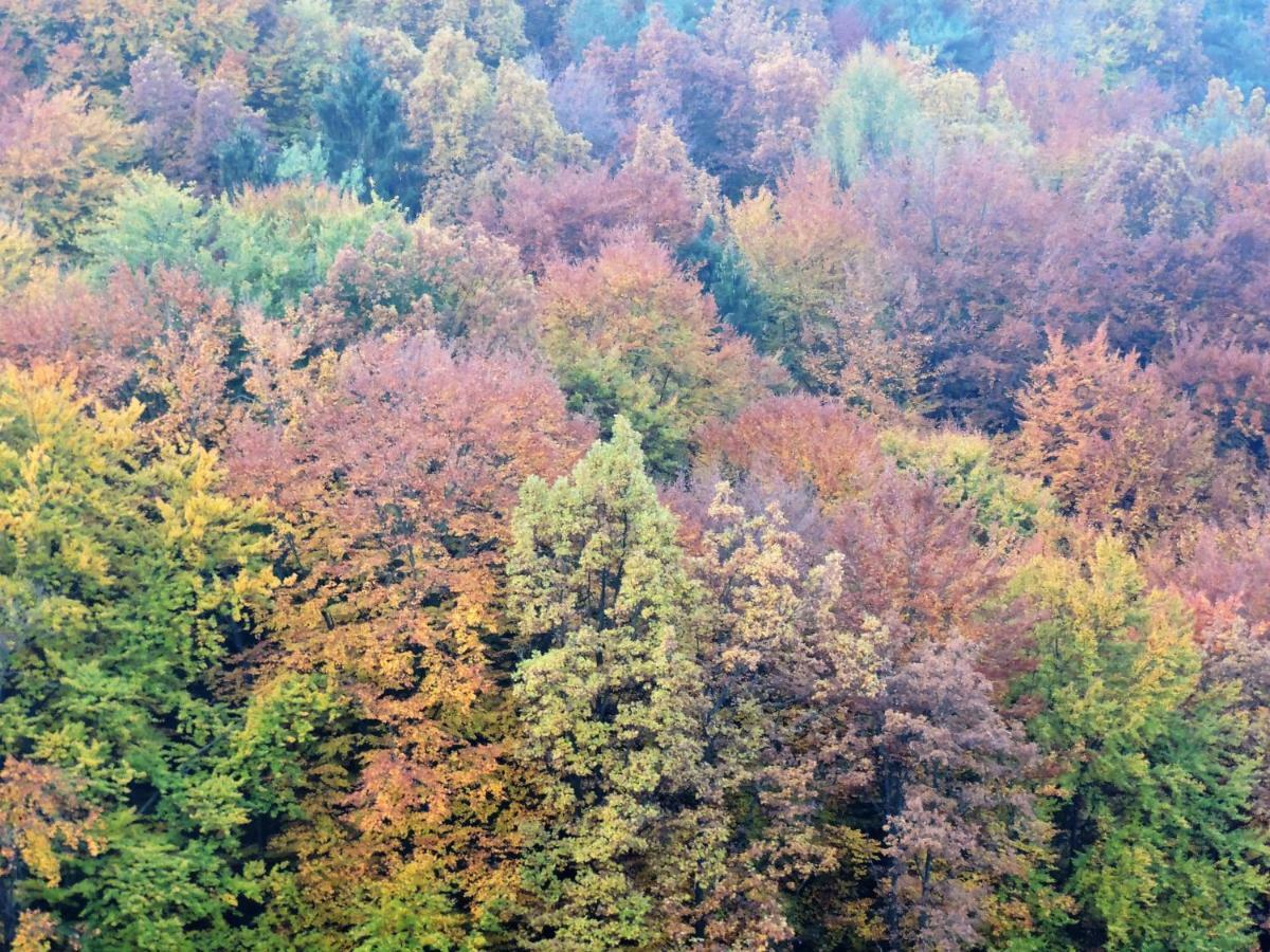Gaestezimmer Klopfer Sankt Johann im Saggautal Εξωτερικό φωτογραφία